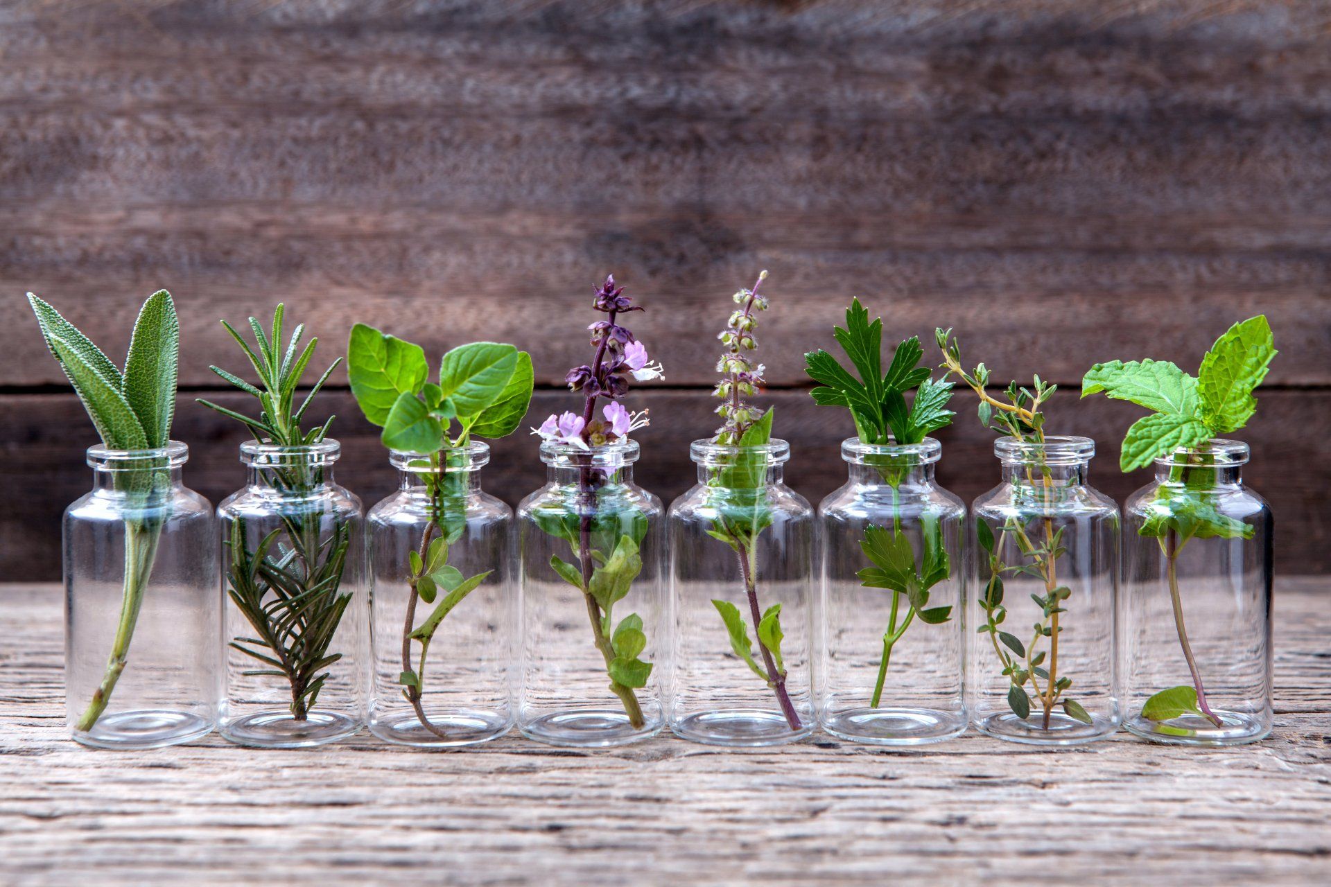 Seven glass bottles with herbs in water, arranged on a wooden surface. Sage, rosemary, basil, and mint are among the visible herbs.