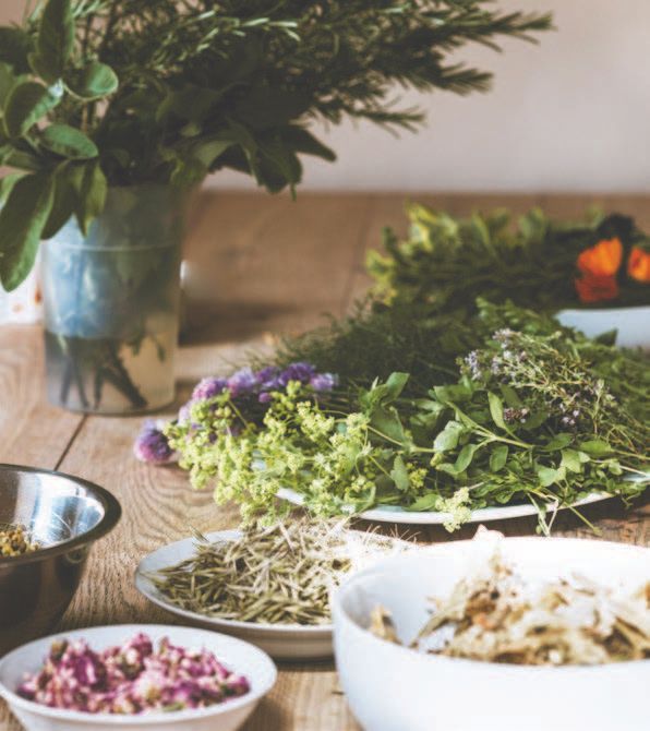 Assortment of fresh herbs and flowers on a wooden table, including sage, rosemary, and thyme, arranged in bowls and a vase.