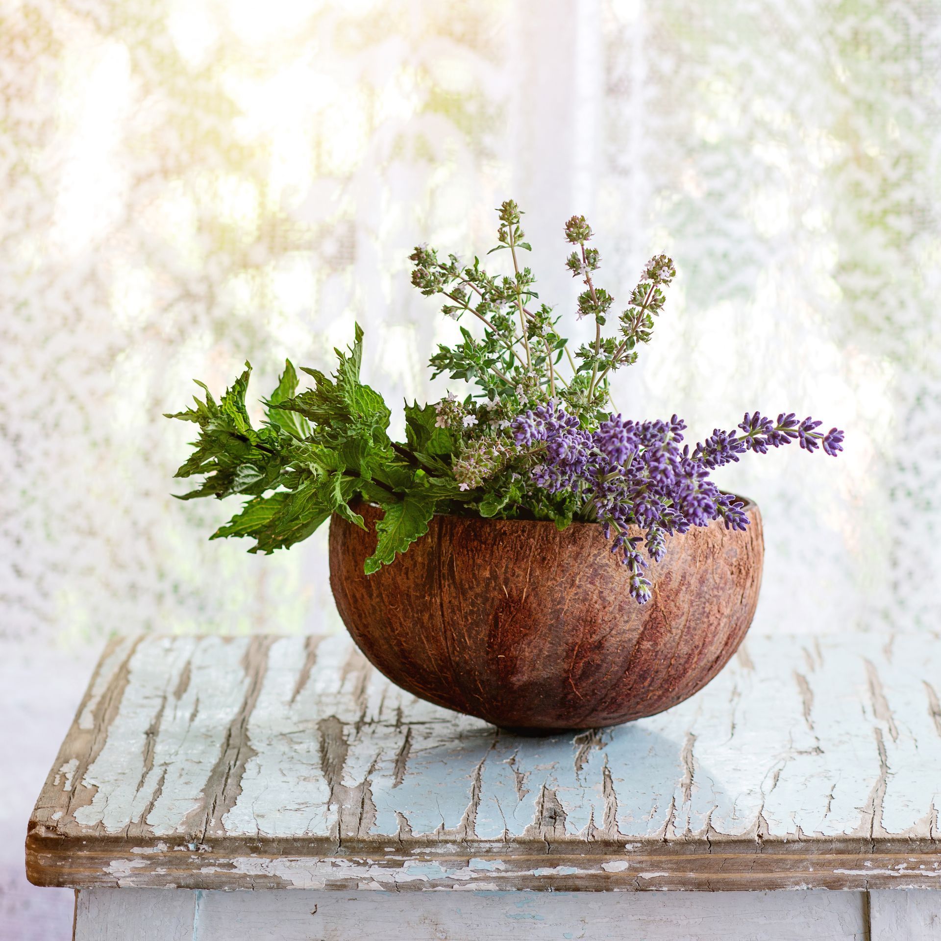 A coconut shell planter on a weathered wooden table holds sprigs of mint, thyme, and lavender in front of a sheer curtain.