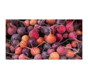 Pile of colorful beets, including red, orange, and purple varieties.