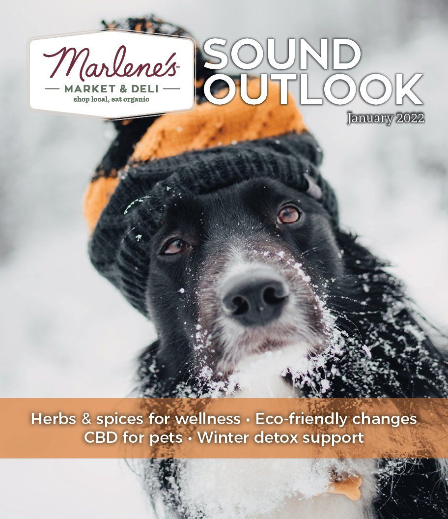 A dog wearing a hat in the snow, cover of Marlene's Market & Deli 