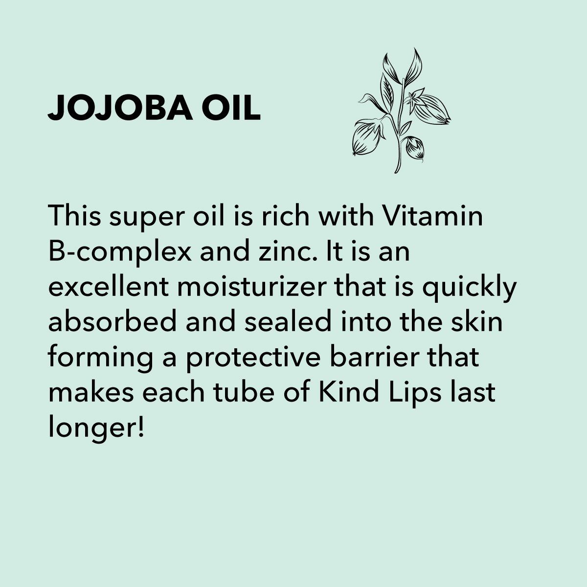 Description of Jojoba Oil benefits. Text on a light green background, with a botanical illustration.