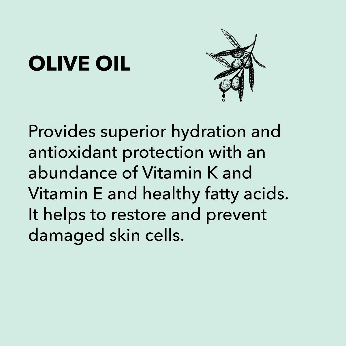 Text description of olive oil, promoting hydration, antioxidant protection, and skin cell restoration, with an olive branch illustration.