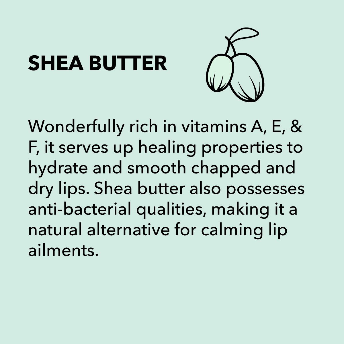 Text description of shea butter and its benefits, along with an illustration of shea nuts.