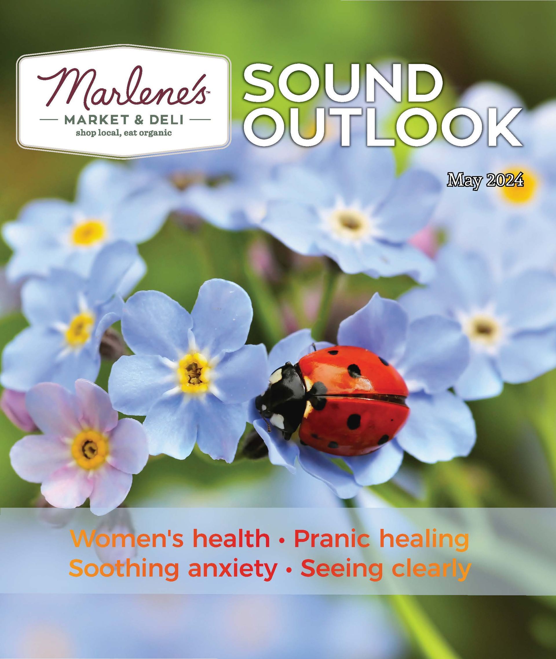 Marlene's Market & Deli publication cover with blue flowers, a ladybug, and wellness topics.