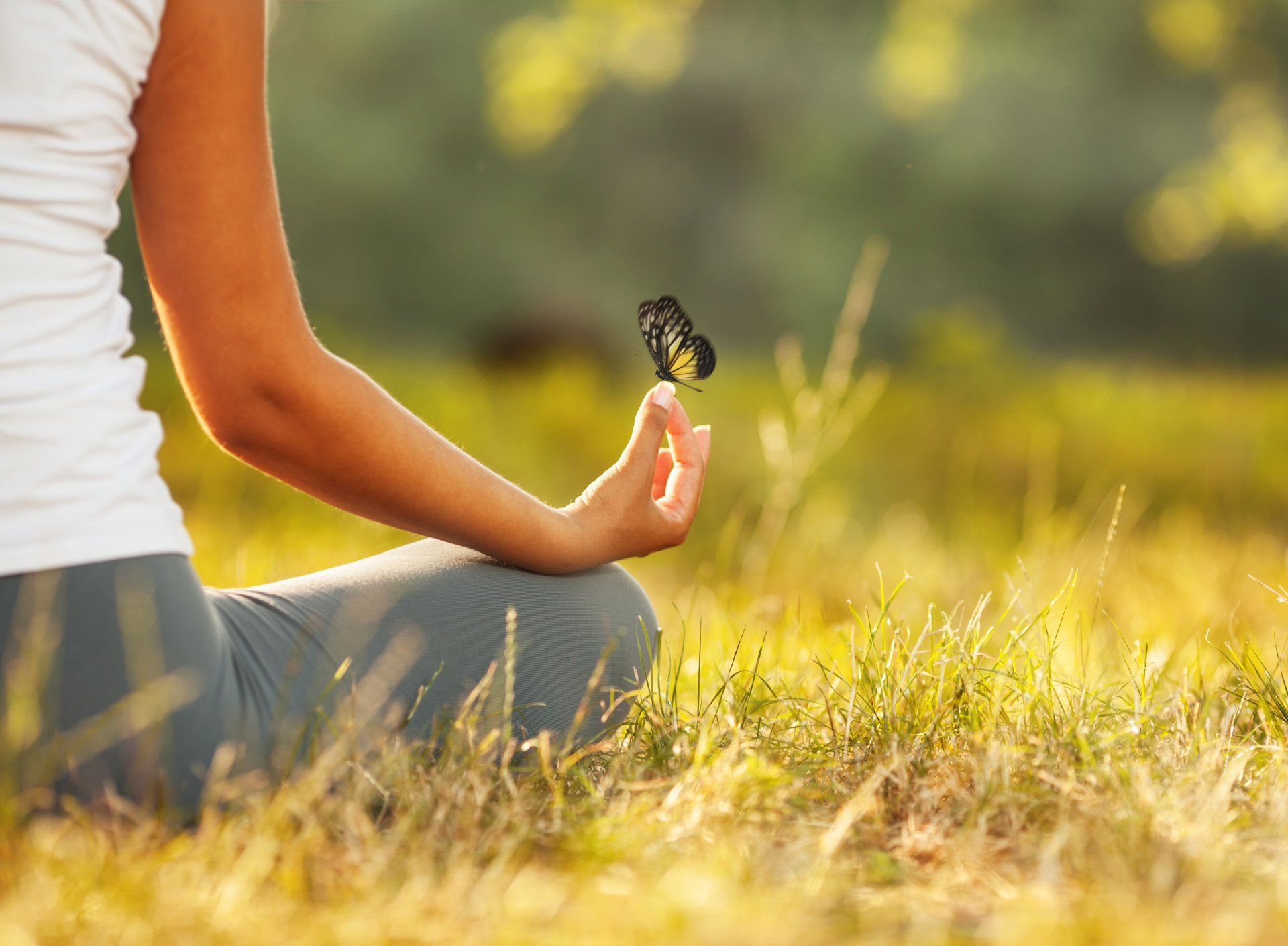 Woman meditating outdoors with a butterfly resting on her finger. She wears a white top and gray leggings, in a grassy field bathed in sunlight.
