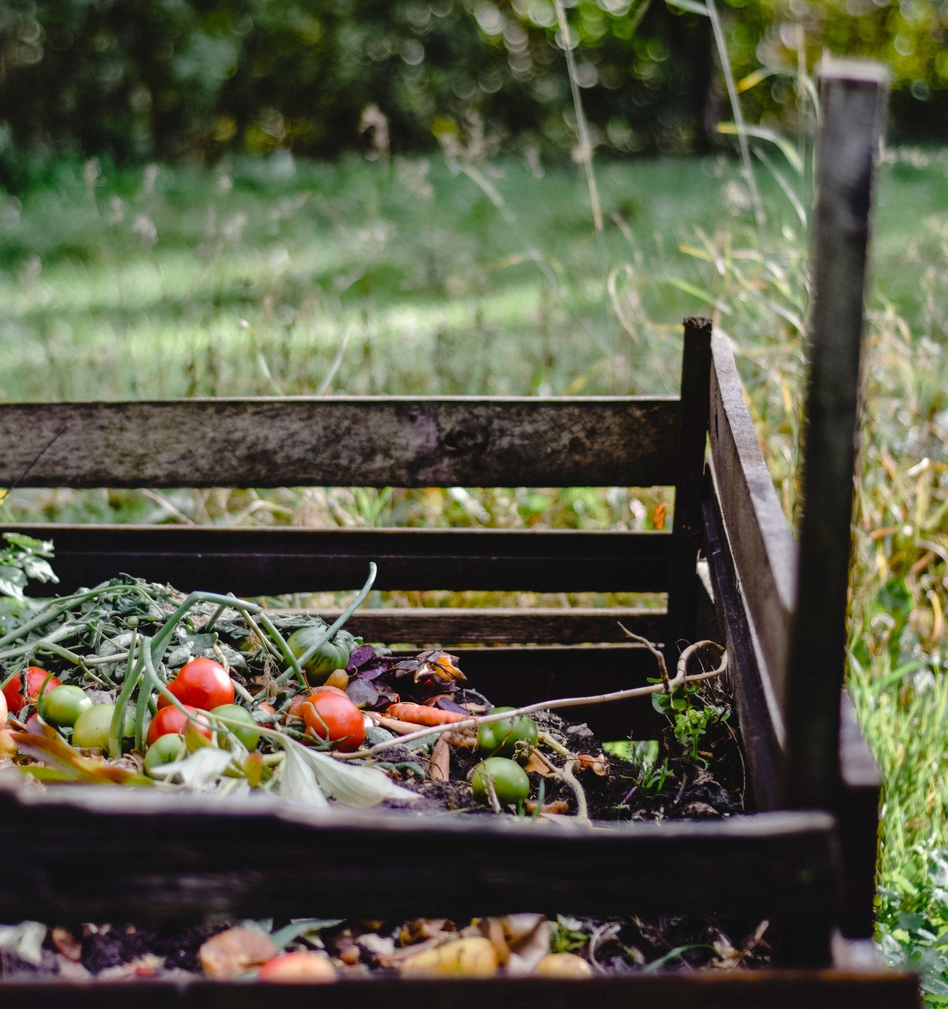 Compost bin filled with red and green tomatoes, carrots, and other organic matter, set against a grassy backdrop.