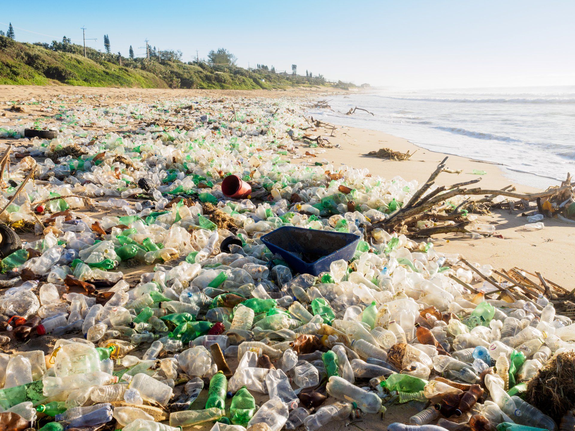 Beach covered in plastic bottles of various colors, littered near the shoreline with waves and green vegetation in the background.