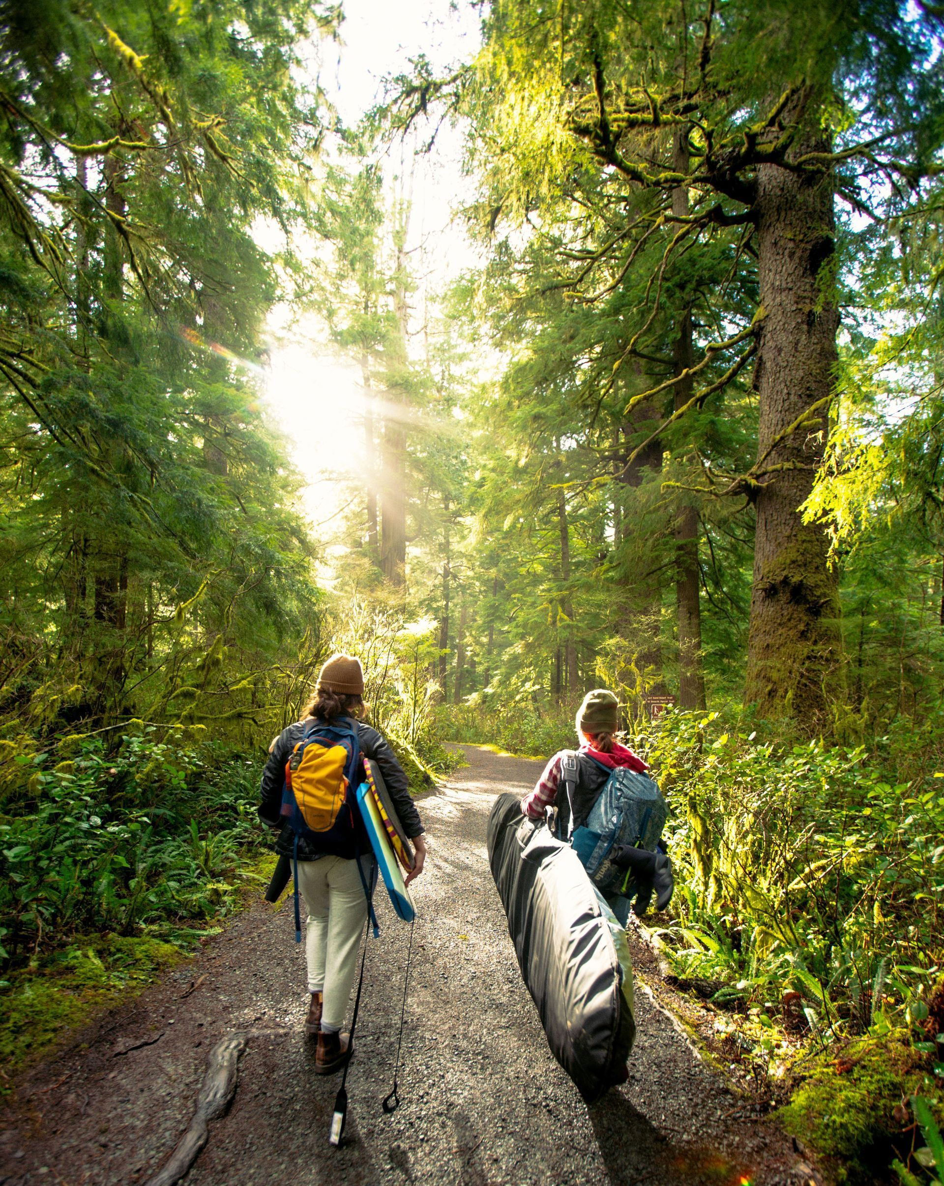 Two people walk down a forest path towards the sun, one carrying a surfboard and the other a long case.