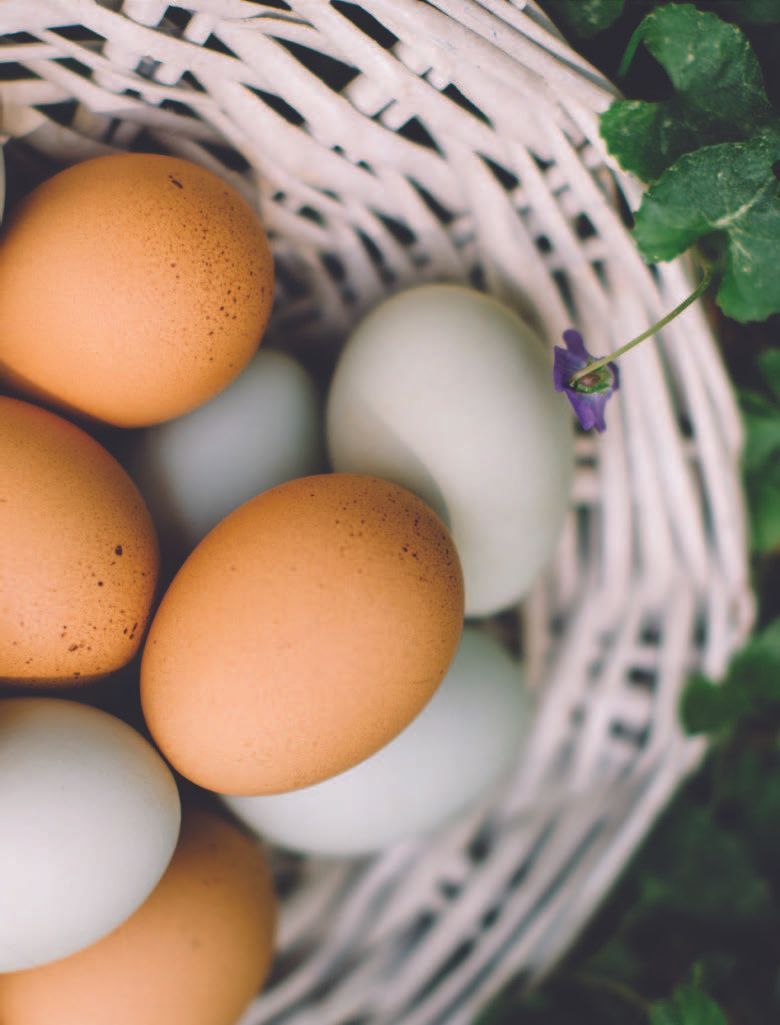 Brown and blue-green eggs in a white woven basket, set among green plants with a small purple flower.