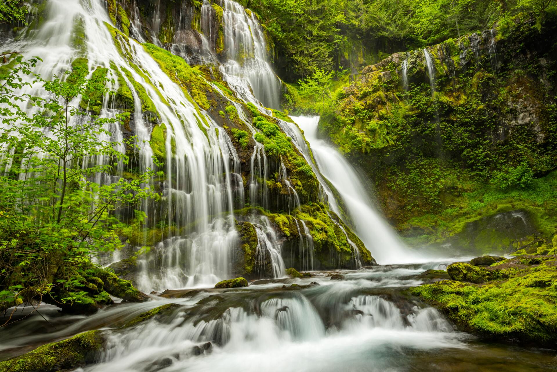 Waterfall cascading down moss-covered rocks, surrounded by lush green vegetation.