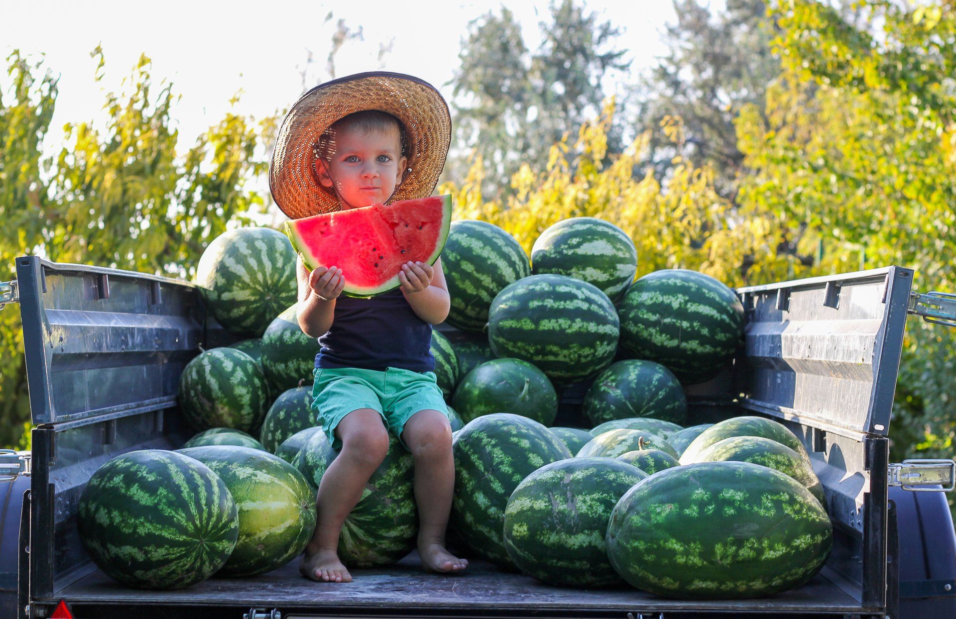 A young child in a straw hat sits in a truck bed filled with watermelons, holding a slice and looking at the camera.
