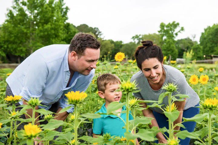 Family exploring a sunflower field. A man, woman, and child are looking at the sunflowers, with the child in the center.