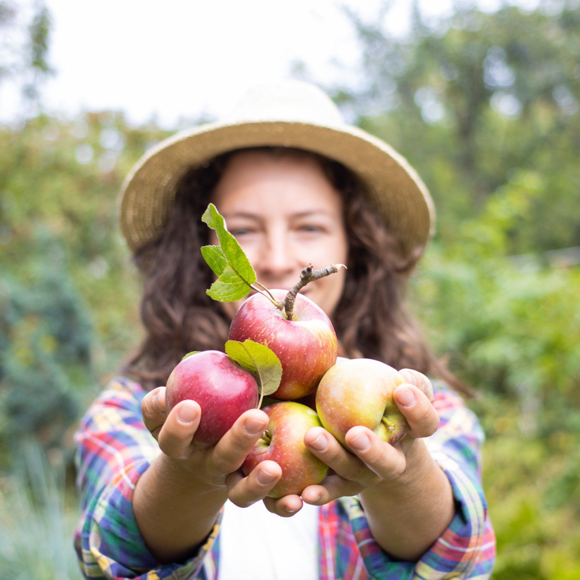 Woman in straw hat holds out a handful of red and yellow apples in an outdoor setting.