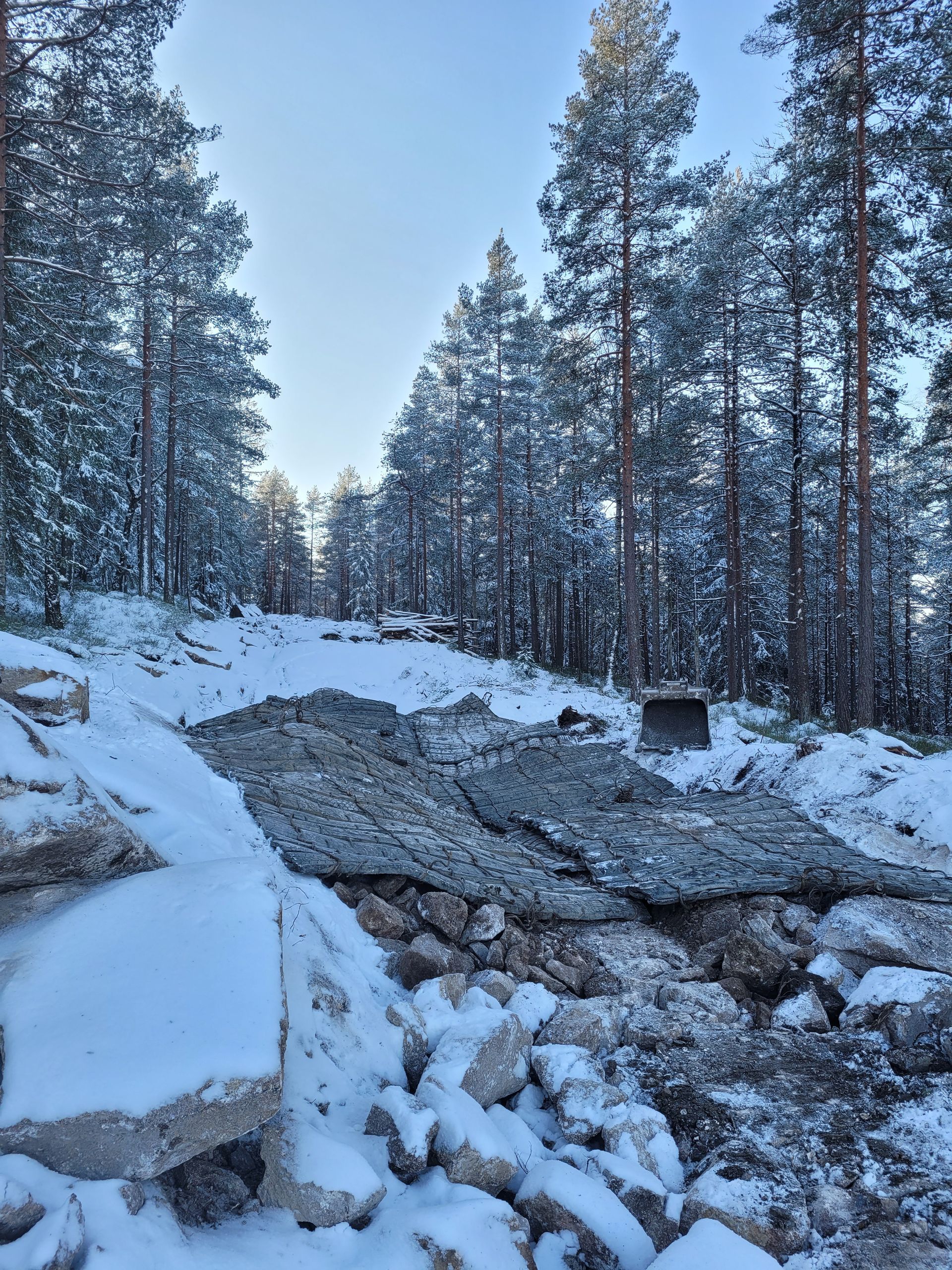 Snødekt skoglandskap med betongavfall som dekker en åsside. Høye, snødekte trær rammer inn utsikten.