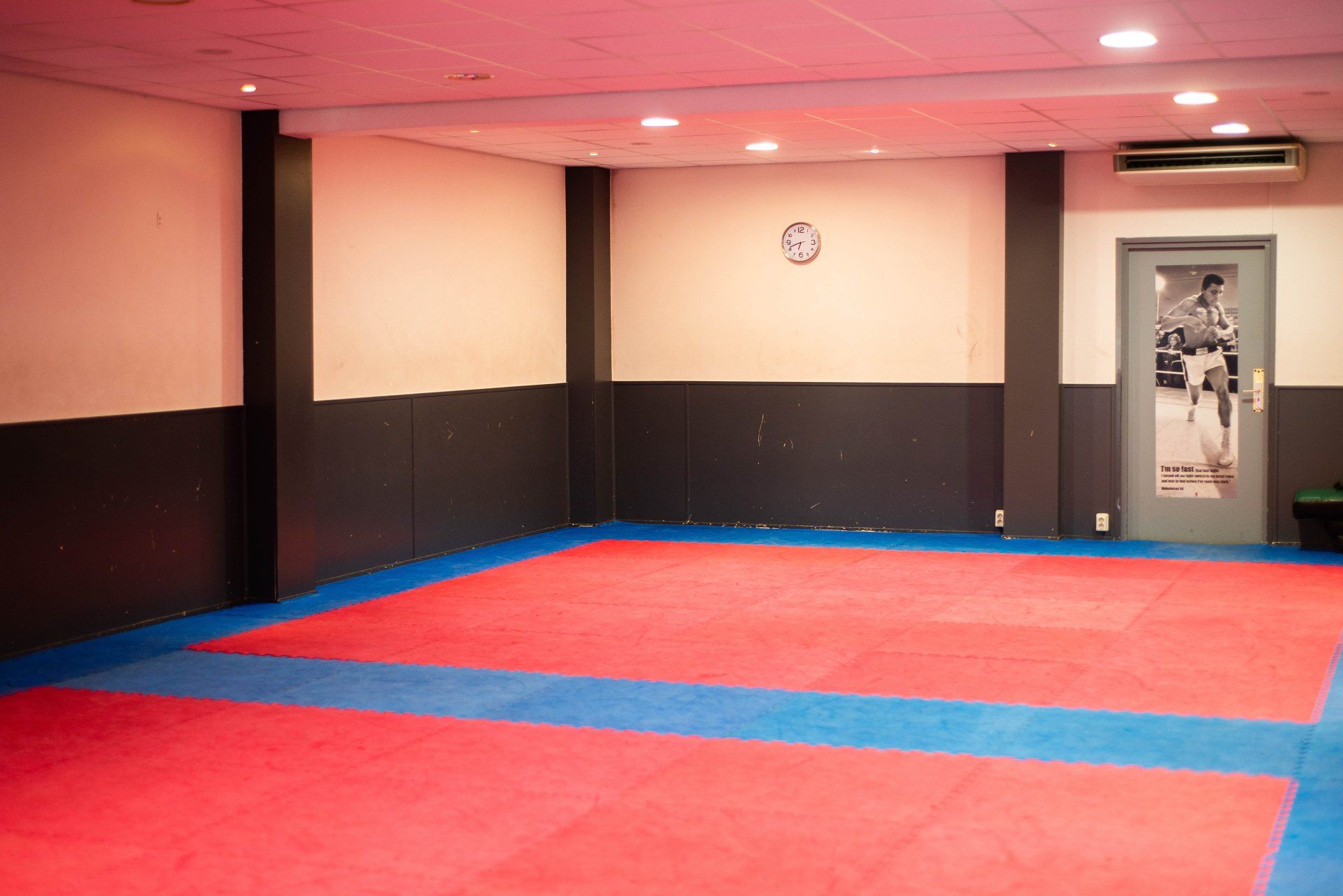 Vechtsportstudio met rode en blauwe matten, beklede muren en een deur met een vechtsporter erop.