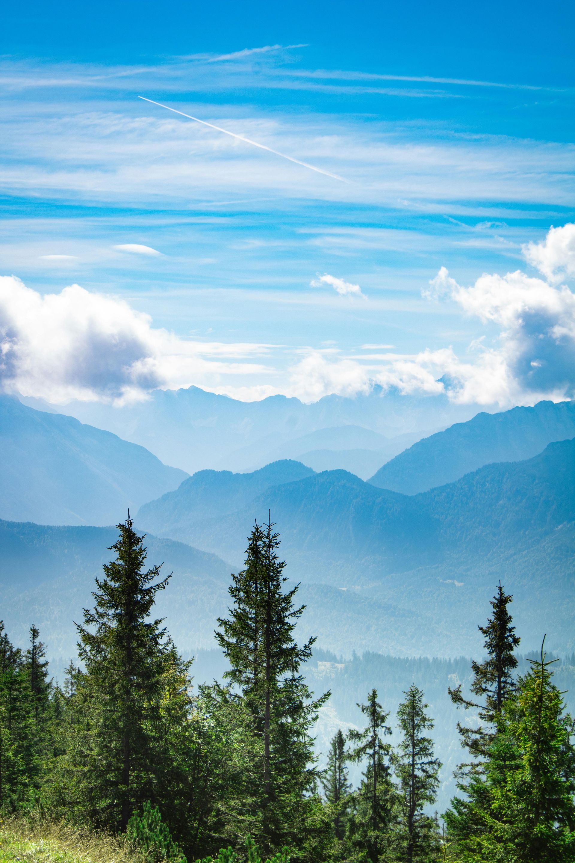 Dessert: rectangular pastry topped with peaches, cherries, whipped cream; scoop of ice cream on crumb topping.