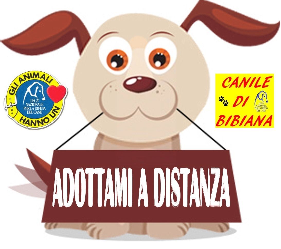 cani casi urgenti