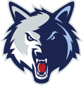Wolf head mascot, split face design, blue and silver, snarling expression.