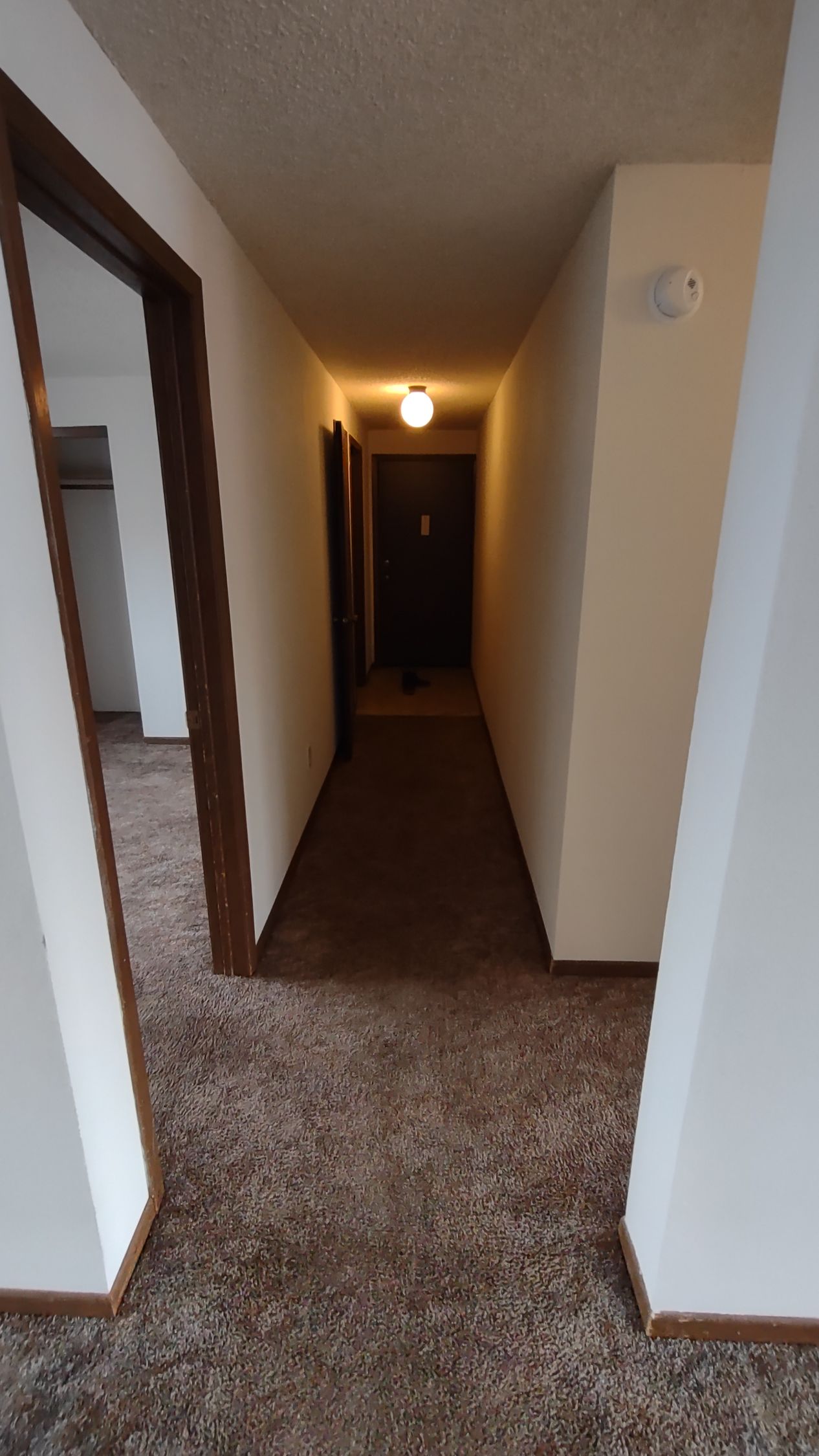 A long hallway with a brown carpet and white walls
