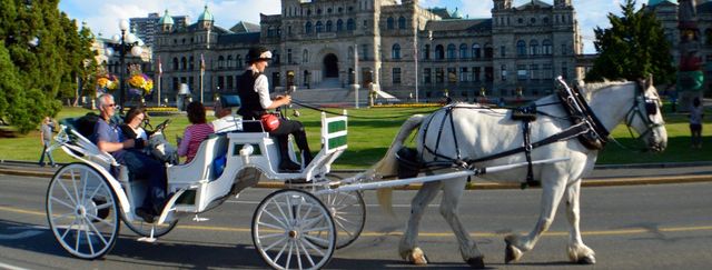 45-Minute Beacon Hill Park Horse-Drawn Carriage Tour