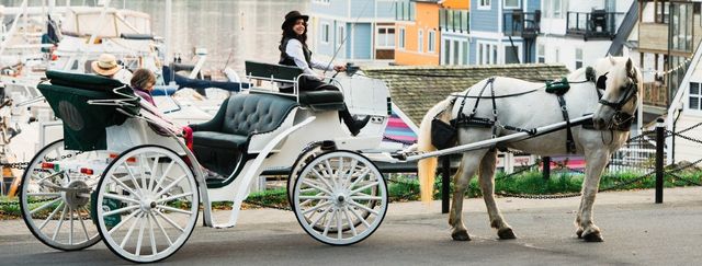 45-Minute Beacon Hill Park Horse-Drawn Carriage Tour