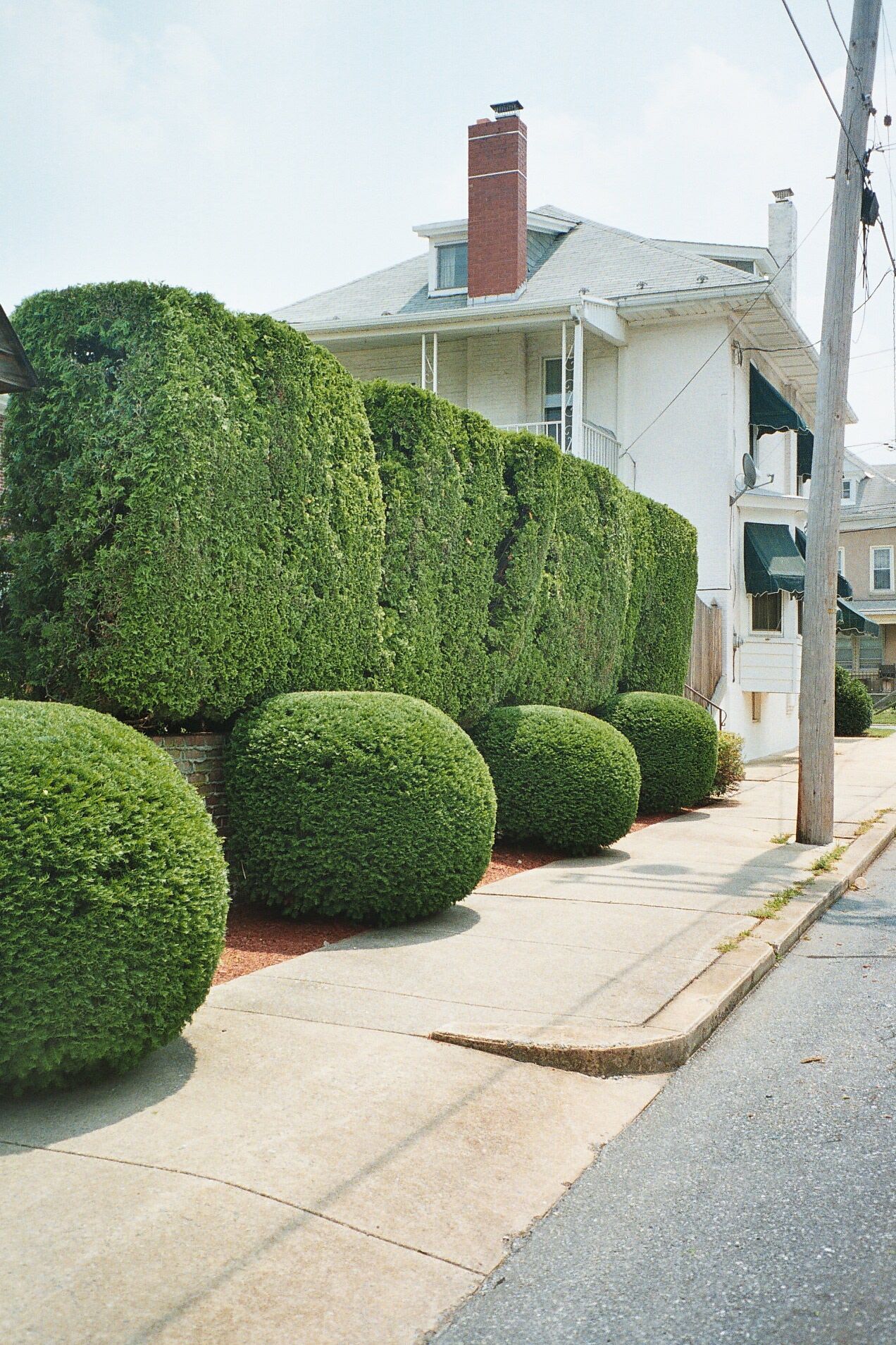 A white house with a red chimney is behind a hedge
