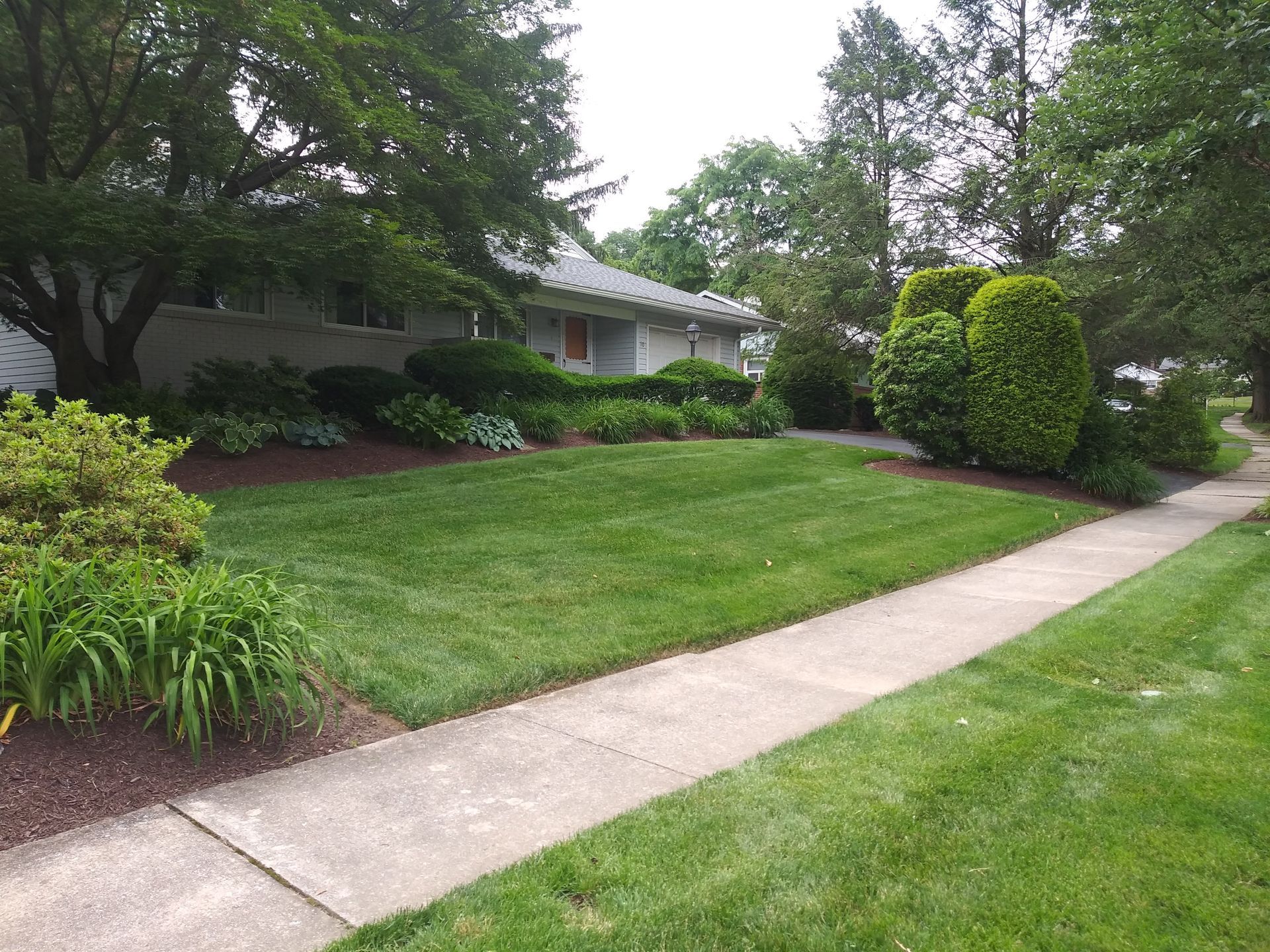 A sidewalk leading to a house with a lush green lawn