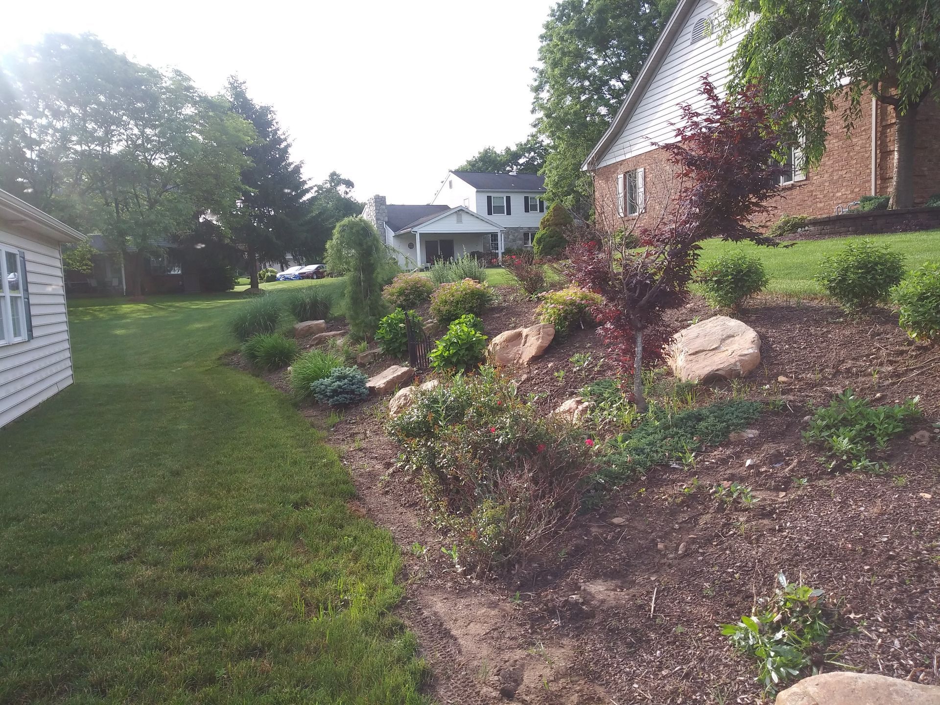 A lush green yard with a house in the background