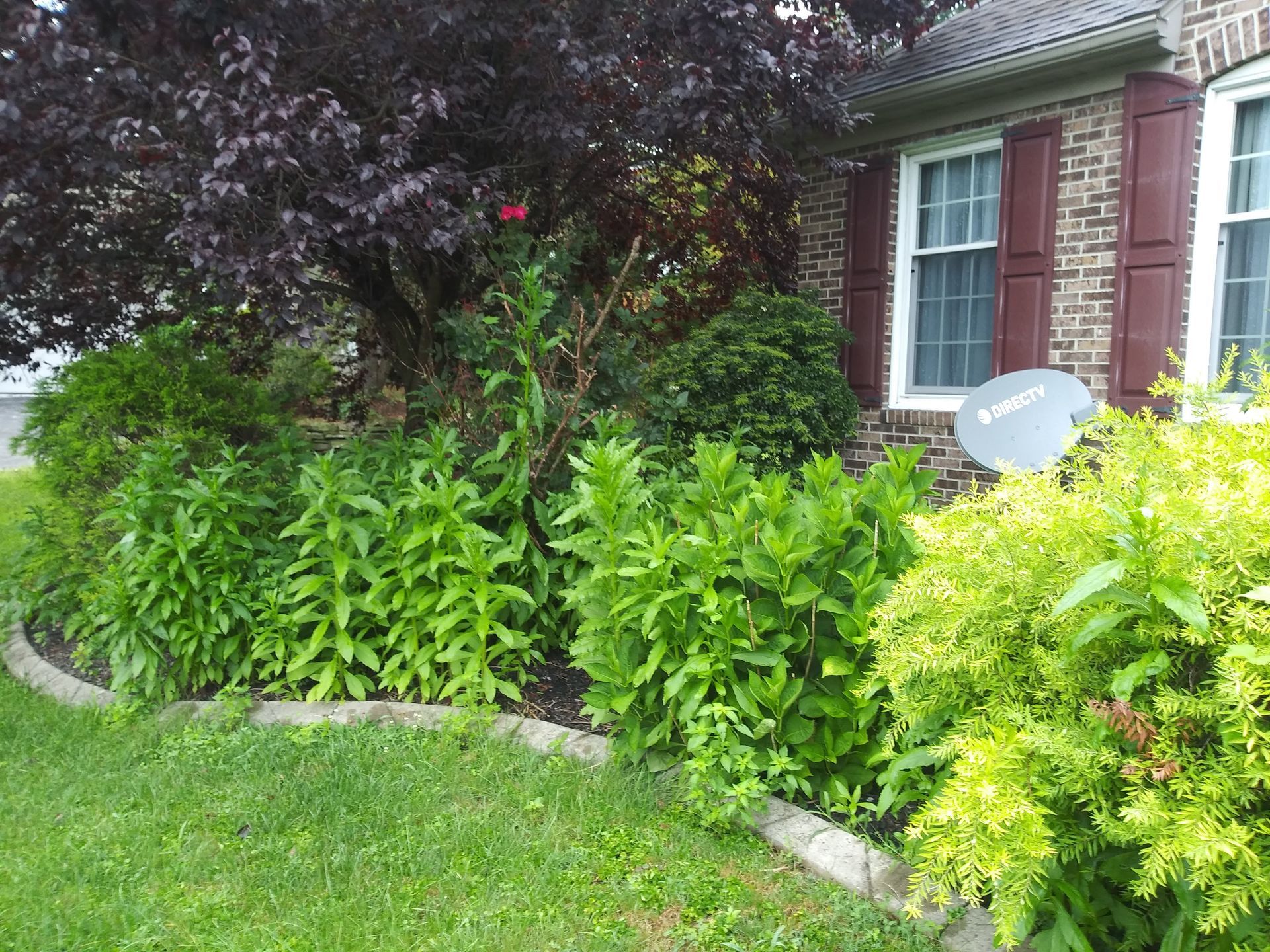 A house with a satellite dish in front of it