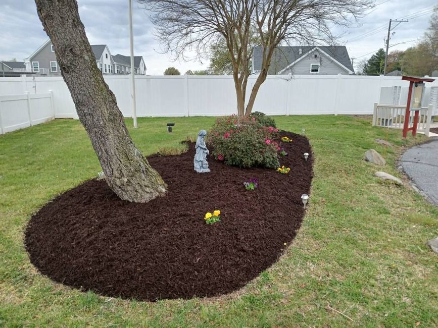 A tree is sitting in the middle of a garden surrounded by mulch and flowers.