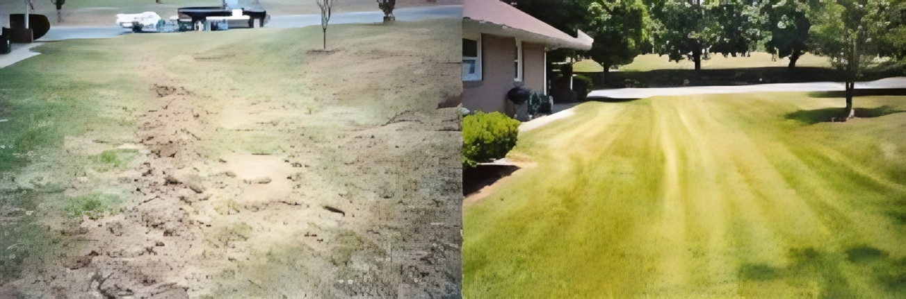 A before and after picture of a lawn with a house in the background