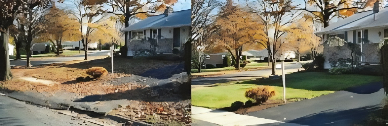 A dog is walking down a sidewalk next to a house.