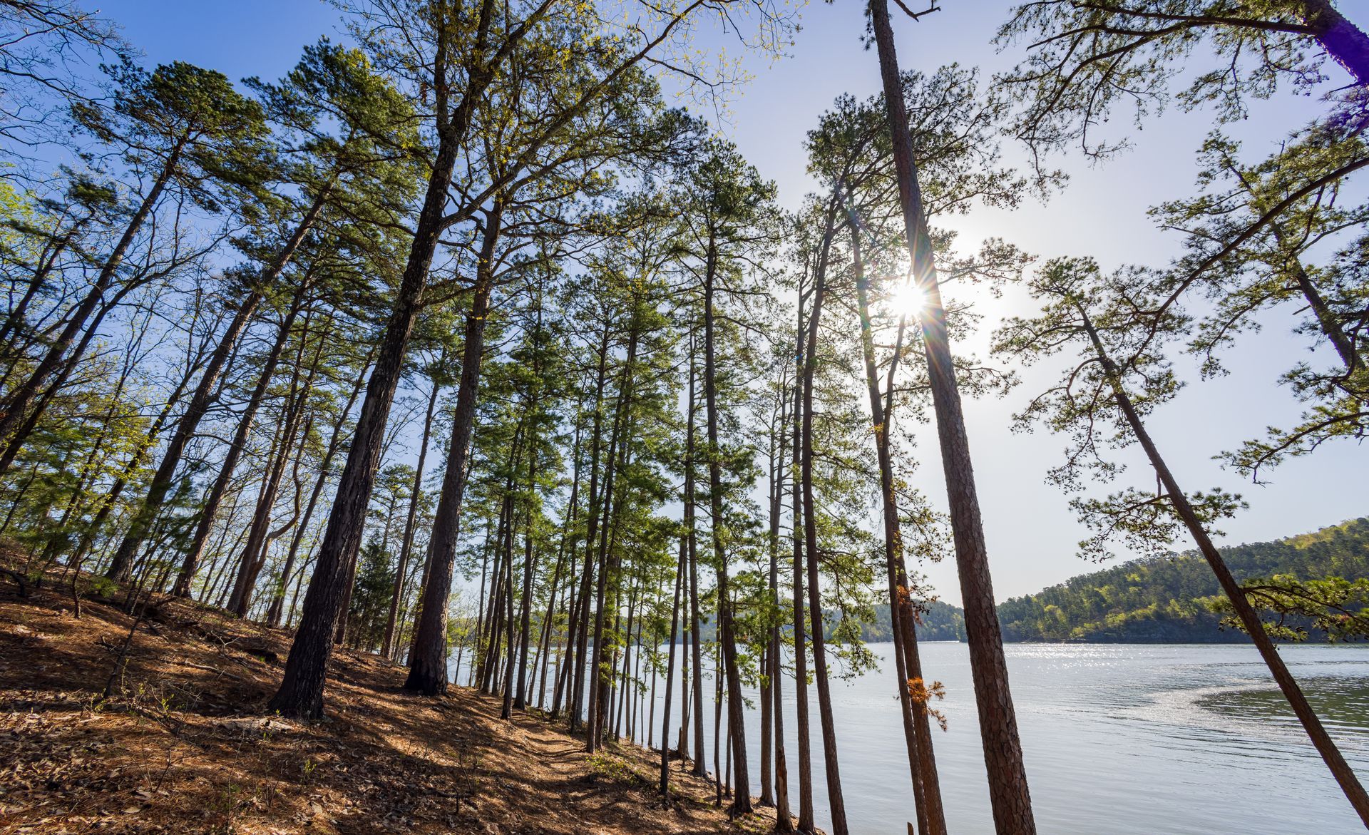 The sun is shining through the trees overlooking a lake.
