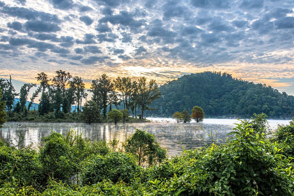 A lake surrounded by trees and bushes with a mountain in the background.