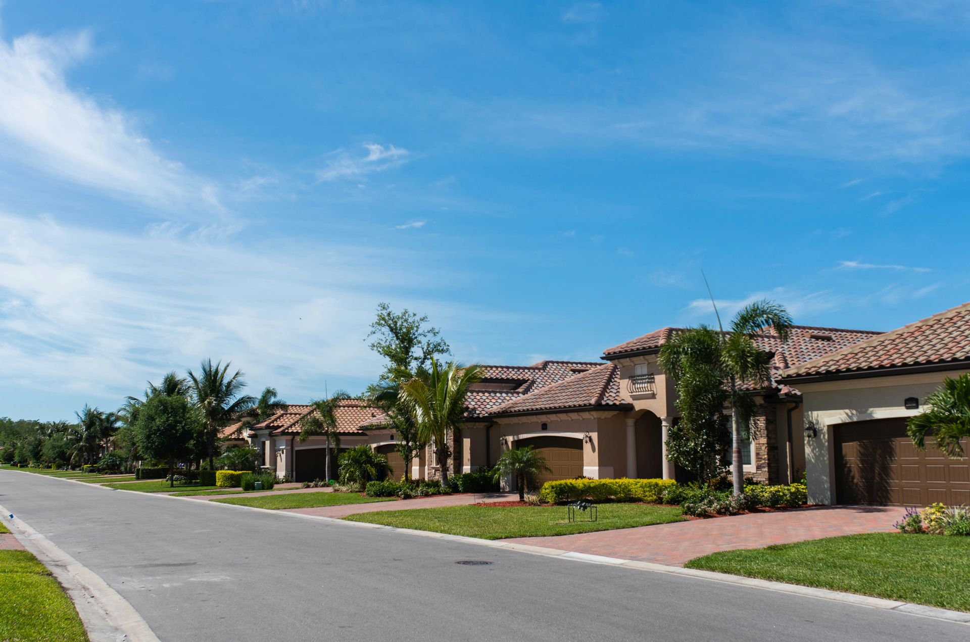 Street with upscale houses under a bright blue sky, palm trees in front yards.