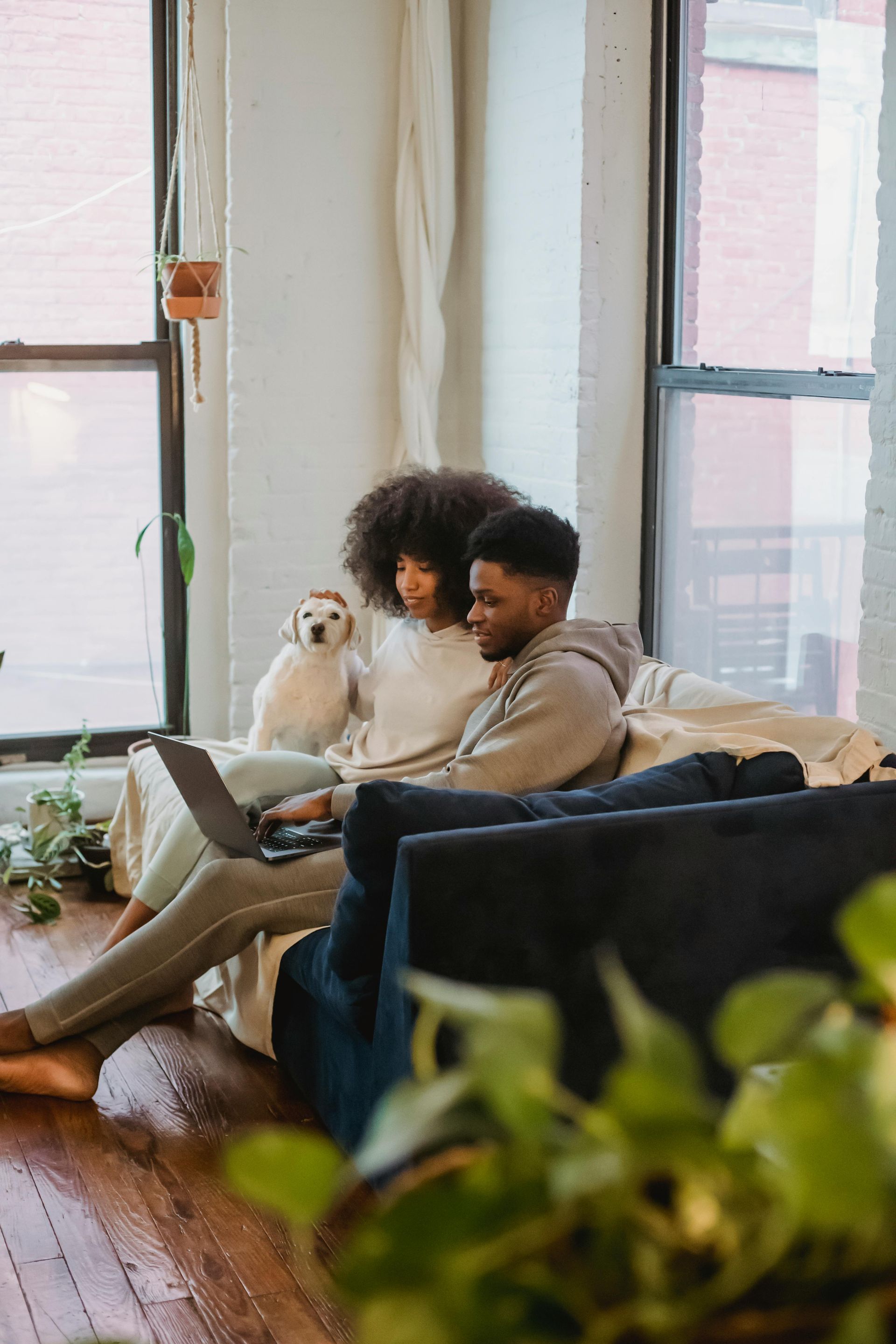 Couple sitting on couch, looking at laptop, dog nearby. Living room setting with plants.