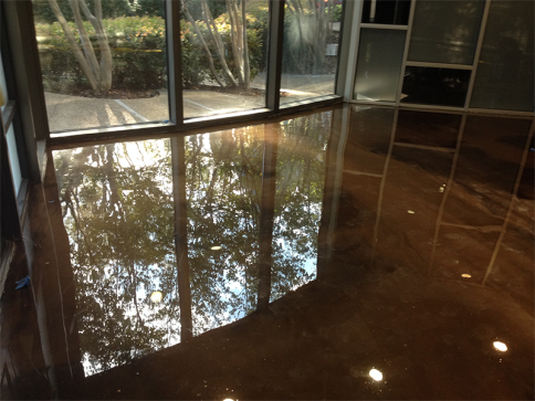 A room with a reflection of trees in the floor