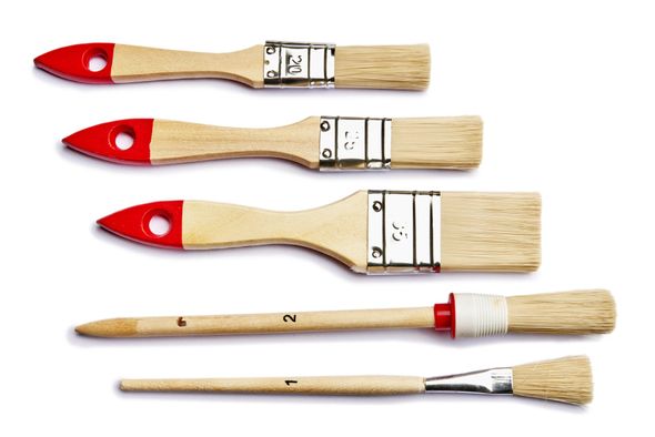 Bristle Paint Brush — Set Of Painting Brushes And Bristle Isolated in Houston, TX