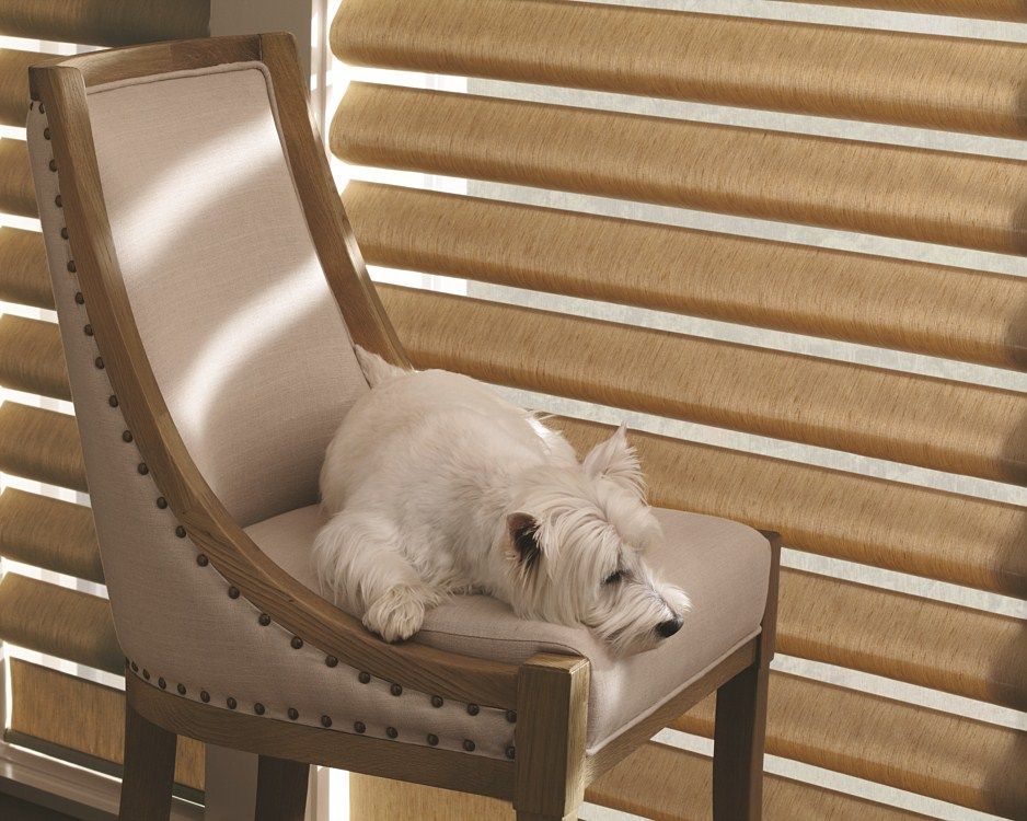 A small white dog is laying on a chair in front of a window