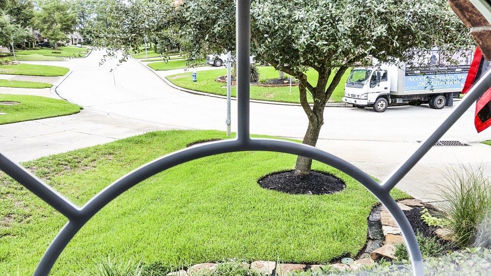 A truck is parked on the side of the road next to a tree.