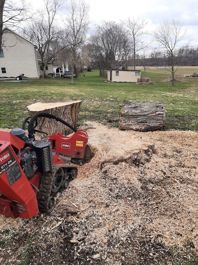 Red skid steer beside a large tree stump in a yard covered with wood chips. Red skid steer beside a large tree stump in a yard covered with wood chips.
