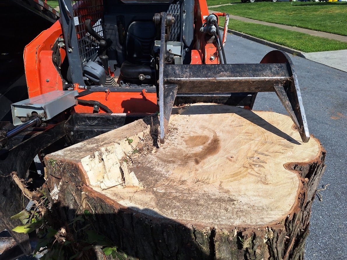 Orange skid steer with grapple removing a large tree stump on a roadside. Orange skid steer with grapple removing a large tree stump on a roadside.