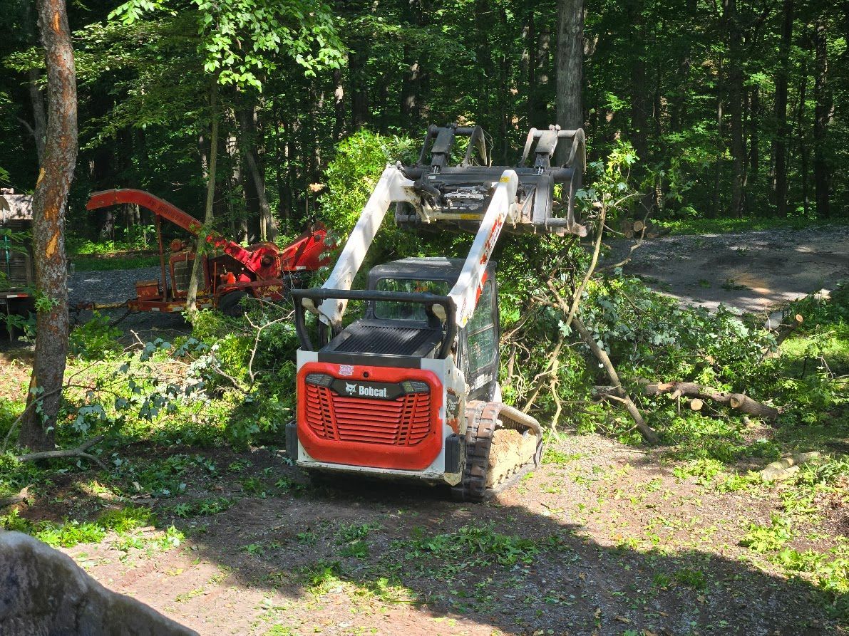 Red tracked stump grinder with raised arm in a wooded area Red tracked stump grinder with raised arm in a wooded area