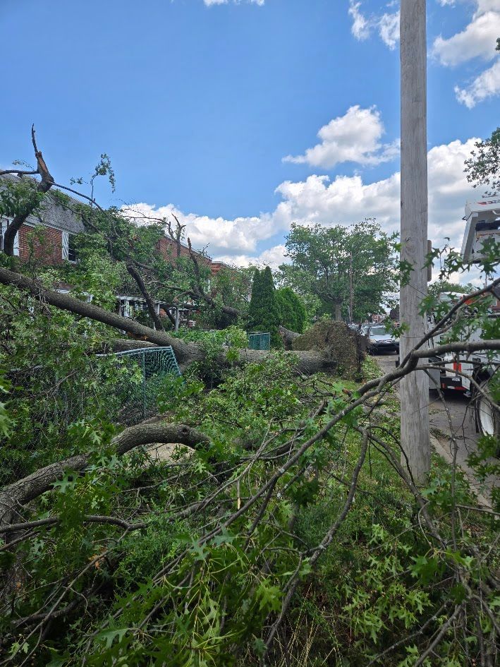 Fallen tree branches block a city sidewalk under a bright blue sky with clouds.