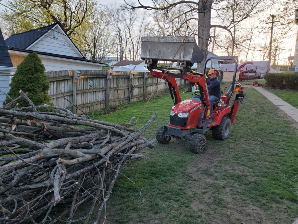 Blue-gloved hands pruning tangled branches with hedge clippers outdoors Blue-gloved hands pruning tangled branches with hedge clippers outdoors