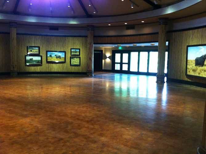 Sanding Floors ─ Spacious Facade in Fort Worth, TX