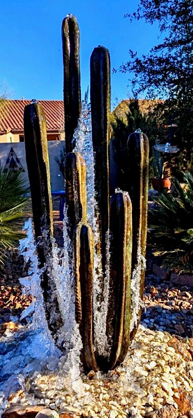 A cactus is surrounded by rocks and water coming out of it.