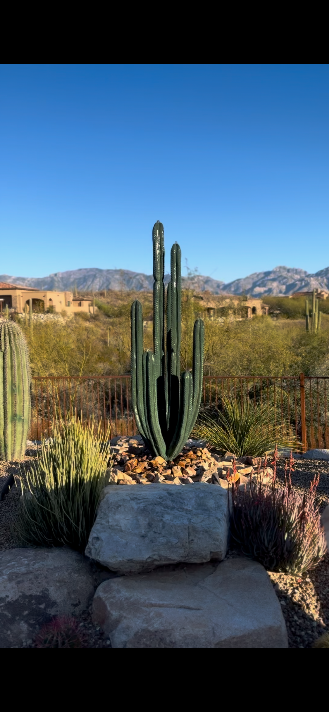 A large cactus is sitting on top of a rock in the desert.