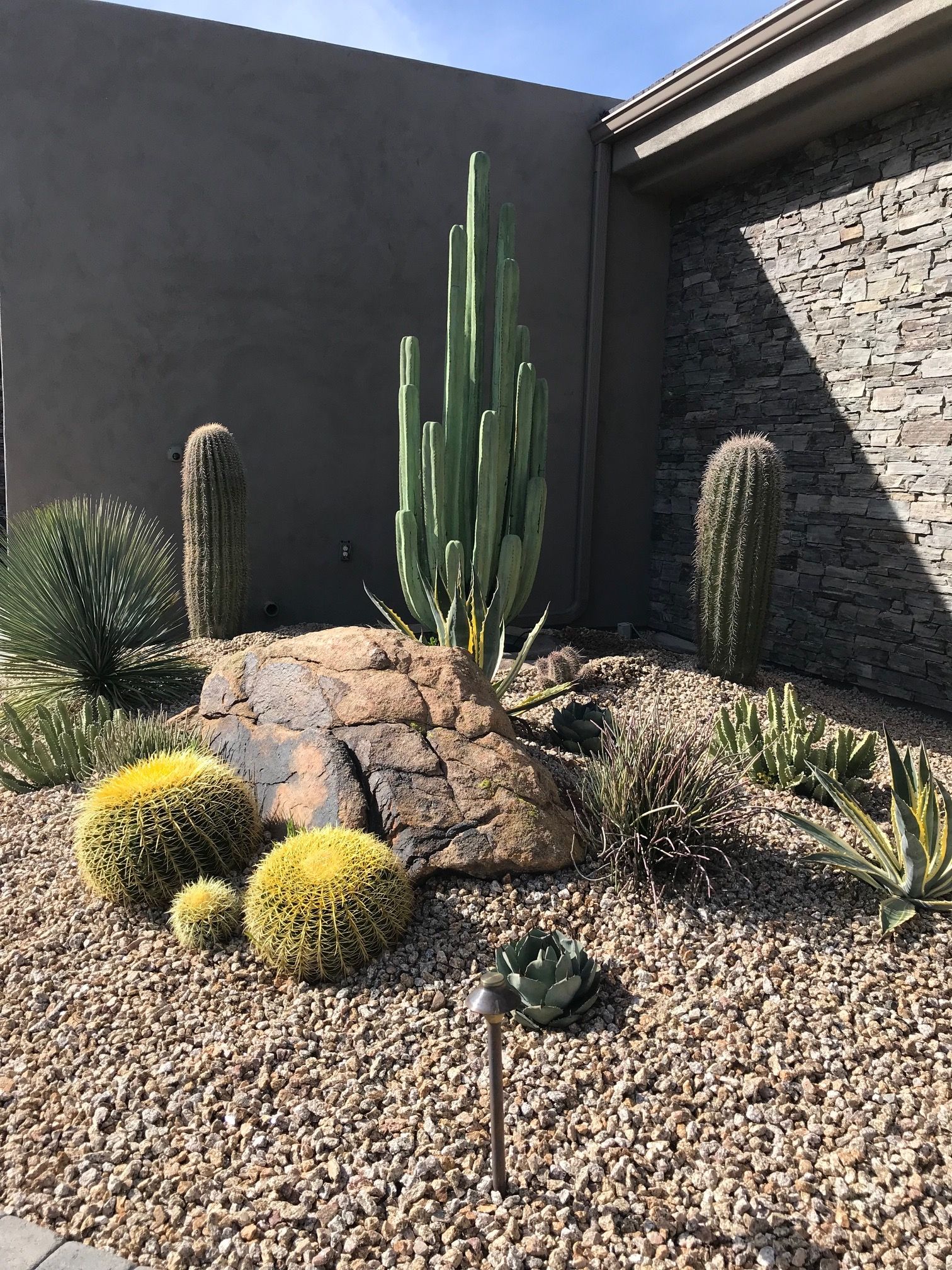 A garden with cactus and rocks in front of a house.